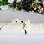 Floral Napkin Rings [4]