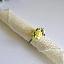 Napkin ring ''Delicate bouquet'' [8]